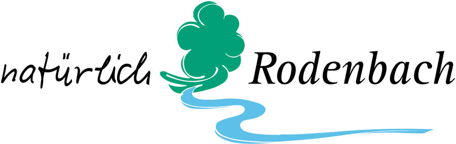 NOAH real estate Immobilienmakler Rodenbach Logo